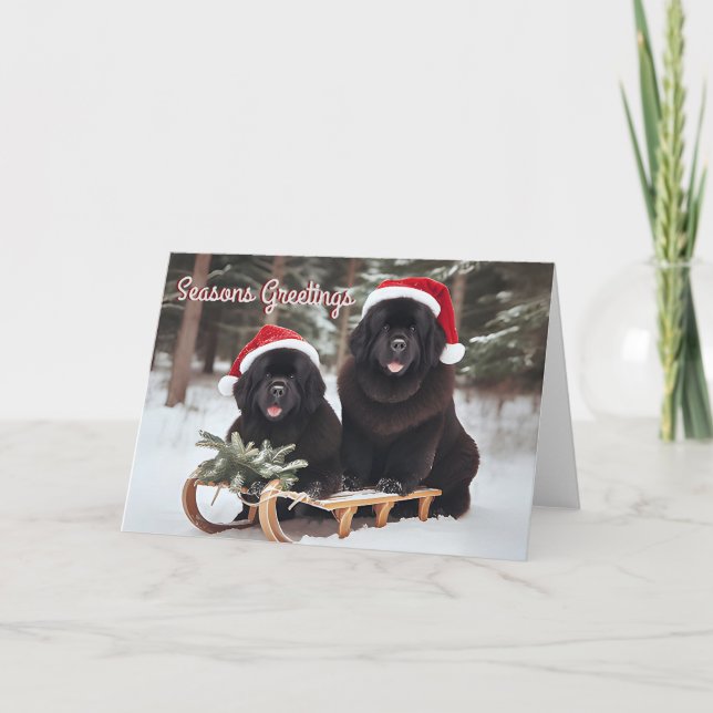 Newfoundland Dogs on a Sled Christmas Card (Front)
