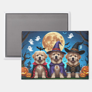 Newfoundland Dogs Pumpkin Halloween Funny Magnet