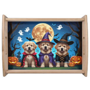 Newfoundland Dogs Pumpkin Halloween Funny  Serving Tray