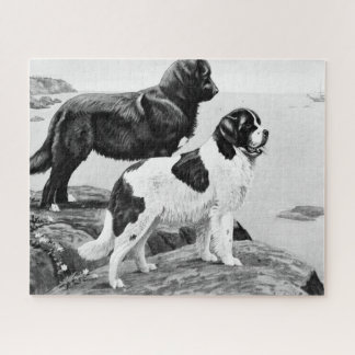 Newfoundland dogs - vintage illustration  jigsaw p jigsaw puzzle