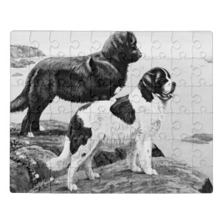 Newfoundland dogs - vintage illustration jigsaw puzzle