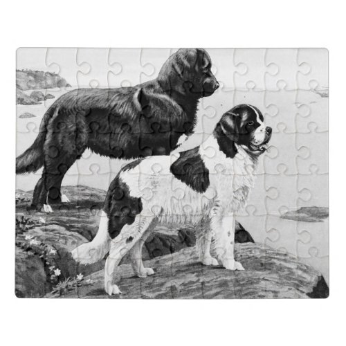 Newfoundland dogs _ vintage illustration  jigsaw puzzle