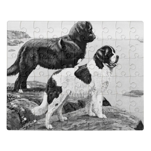 Newfoundland dogs - vintage illustration  jigsaw puzzle (Puzzle Horizontal)