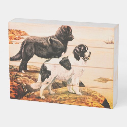 Newfoundland dogs _  vintage illustration wooden wooden box sign