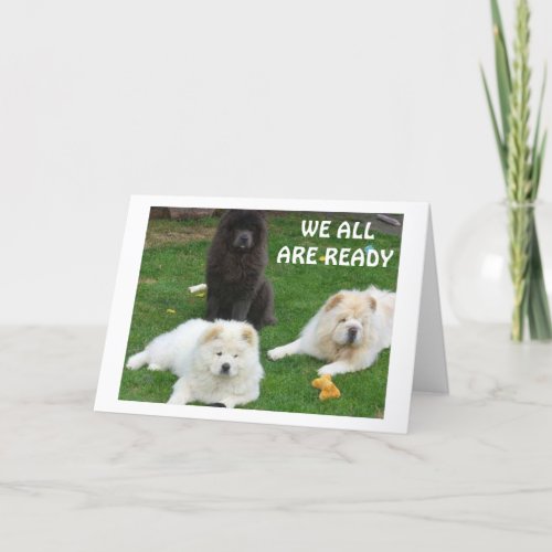 NEWFOUNDLAND DOGS WANT TO SAY HAPPY BIRTHDAY CARD