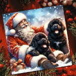 Newfoundland Dogs with Santa Claus Festive Holiday Card<br><div class="desc">Vintage style Christmas Santa with two beautiful Newfoundland Puppy Dogs Fantasy art holiday card.  Personalize this with your own message and family name to send out to friends and family for the holidays.</div>