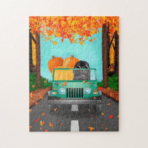 Newfoundland Fall Pumpkin  Jigsaw Puzzle