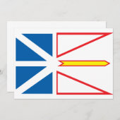 Newfoundland flag (Front/Back)