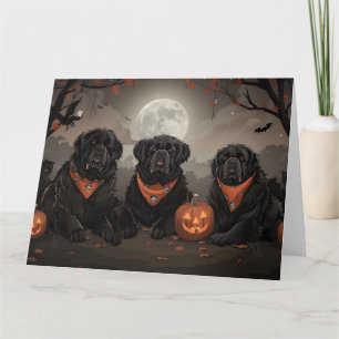 Newfoundland Halloween Spooky Card
