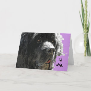 Newfoundland Happy Birthday Card