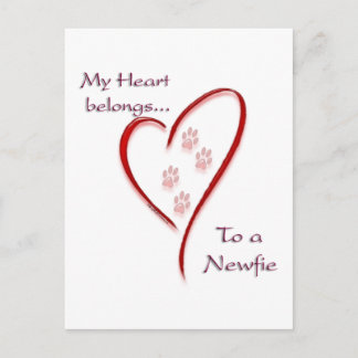 Newfoundland Heart Belongs Postcard