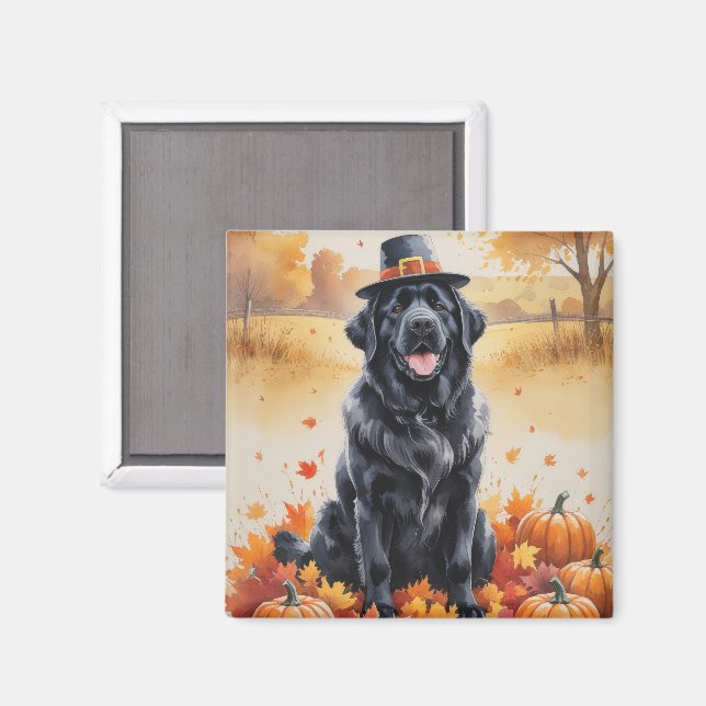 Newfoundland In Autumn Leaves Thanksgiving Art  Magnet (Front/Back)