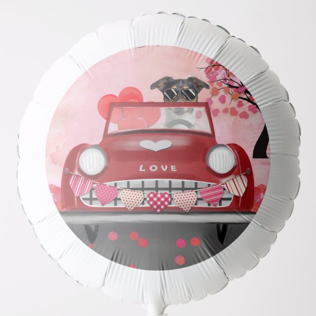 Newfoundland in car with hearts balloon (Front)