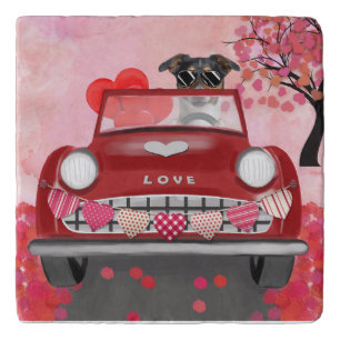 Newfoundland in car with hearts trivet