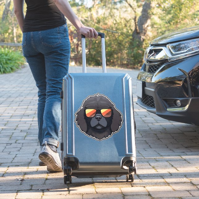 Newfoundland in Cool Sunglasses Classic T-Shirt Sticker (Suitcase Insitu)