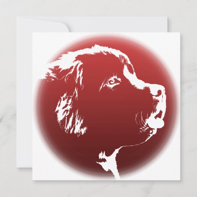 Newfoundland Invitations Personalized Dog Card (Front)