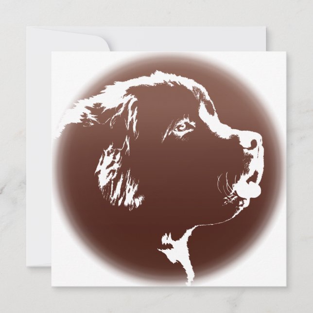 Newfoundland Invitations Personalized Dog Card (Front)