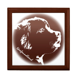 Newfoundland Jewelry Box Newfoundland Dog Boxes