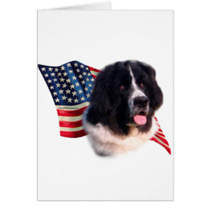 Newfoundland (landseer) Flag Cards