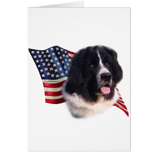 Newfoundland (landseer) Flag Cards (Front)