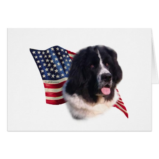 Newfoundland (landseer) Flag Cards (Front Horizontal)