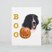 Newfoundland Landseer Halloween Boo (Standing Front)