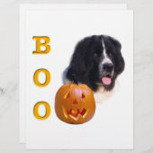 Newfoundland Landseer Halloween Boo (Front/Back)