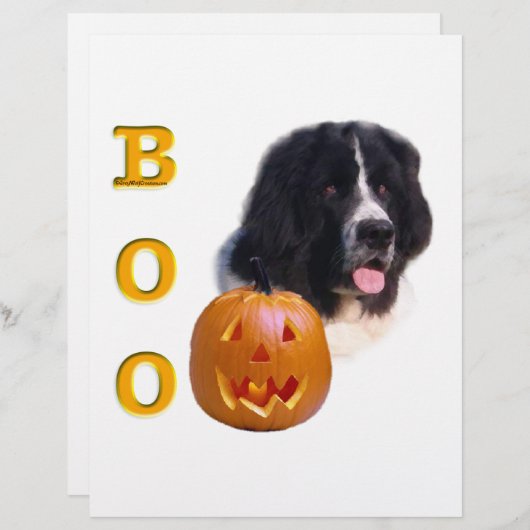 Newfoundland Landseer Halloween Boo (Front/Back)