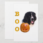 Newfoundland Landseer Halloween Boo (Front/Back)