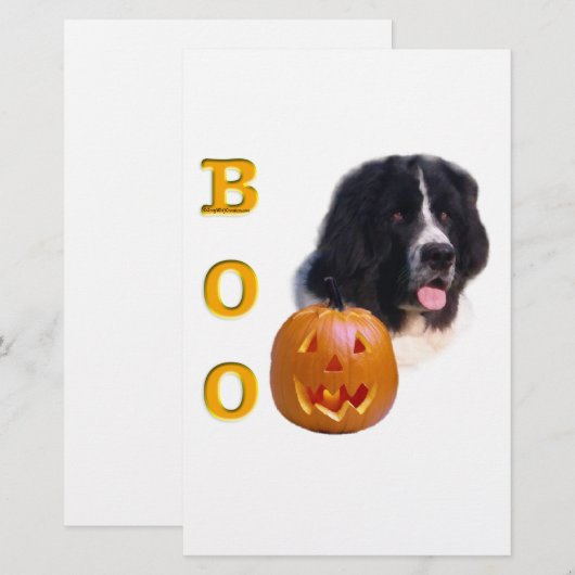 Newfoundland Landseer Halloween Boo (Front/Back)