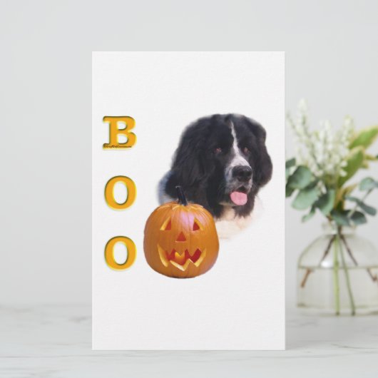 Newfoundland Landseer Halloween Boo (Standing Front)