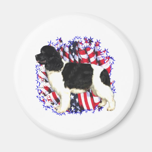 Newfoundland (landseer) Patriot Magnet (Front)