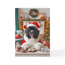 Newfoundland Landseer Placing Santa's Cookies
