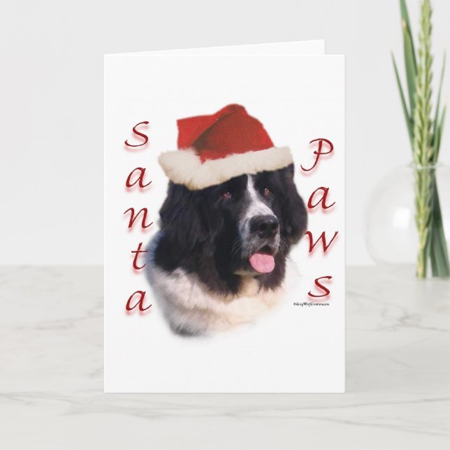 Newfoundland (landseer) Santa Paws Holiday Card (Front)