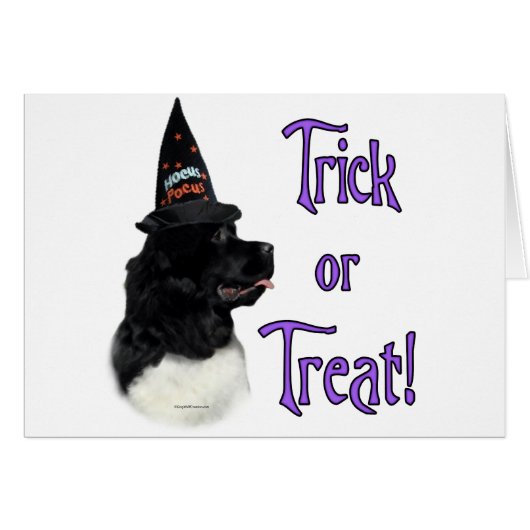 Newfoundland (landseer) Trick (Front Horizontal)