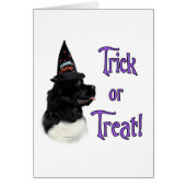 Newfoundland (landseer) Trick (Front)