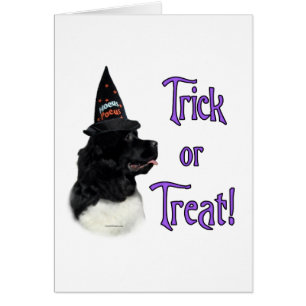 Newfoundland (landseer) Trick Cards