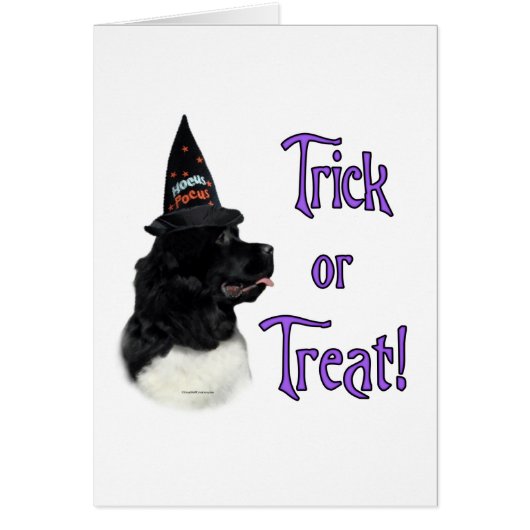 Newfoundland (landseer) Trick Cards (Front)