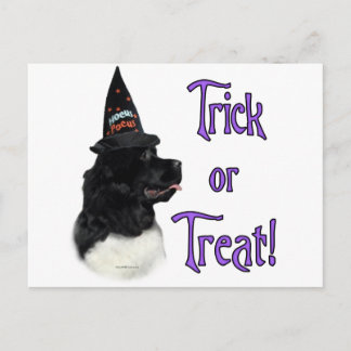 Newfoundland (landseer) Trick Postcard