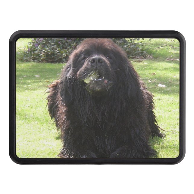 Newfoundland laying trailer hitch cover (Front)