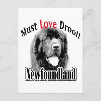 Newfoundland Must Love Drool Postcard