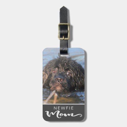 Newfoundland Newfie Mom Dogs Photo Luggage Tag