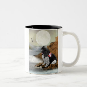 Newfoundland on ocean Two-Tone coffee mug