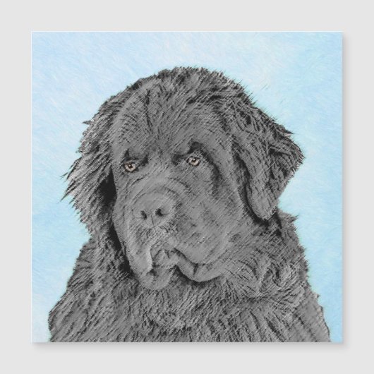 Newfoundland Painting - Cute Original Dog Art (Front)