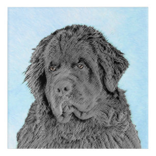 Newfoundland Painting - Cute Original Dog Art