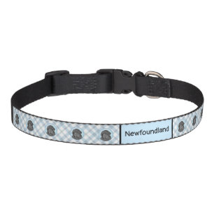 Newfoundland Painting - Cute Original Dog Art Pet Collar