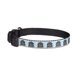 Newfoundland Painting - Cute Original Dog Art Pet Collar