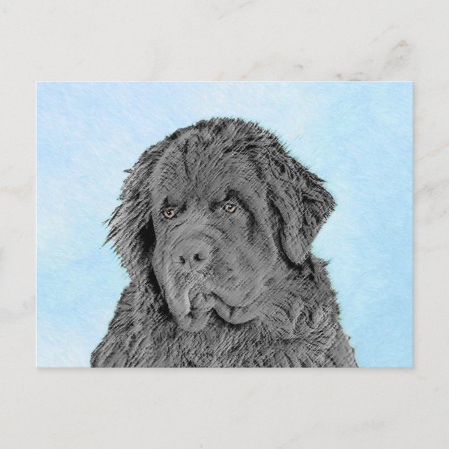 Newfoundland Painting - Cute Original Dog Art Postcard (Front)