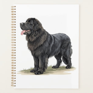 Newfoundland Planner