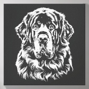 Newfoundland Portrait Minimalist Apparel Canvas Photo Tile